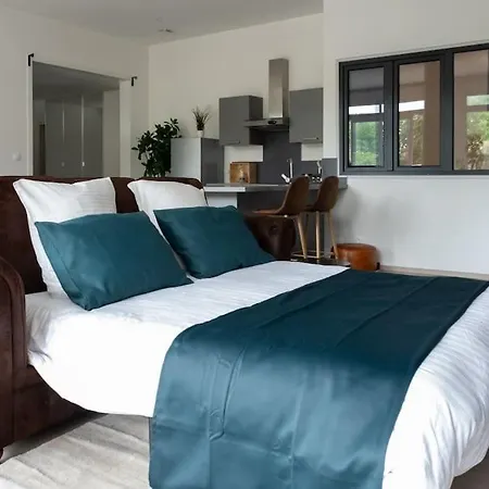 Apartamento Charme De Bollwiller